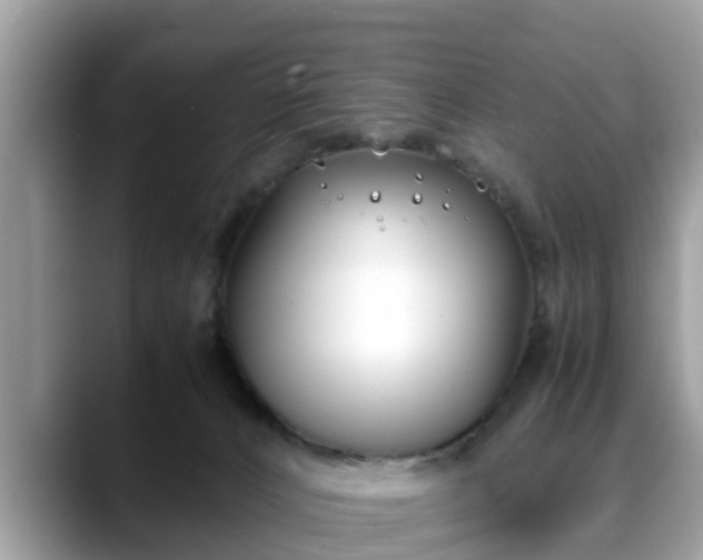 X0000088680032200706071435