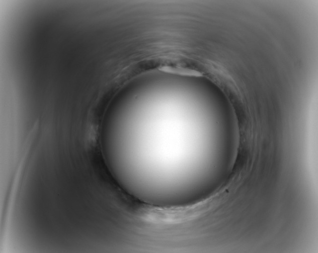 X0000088680033200706071435