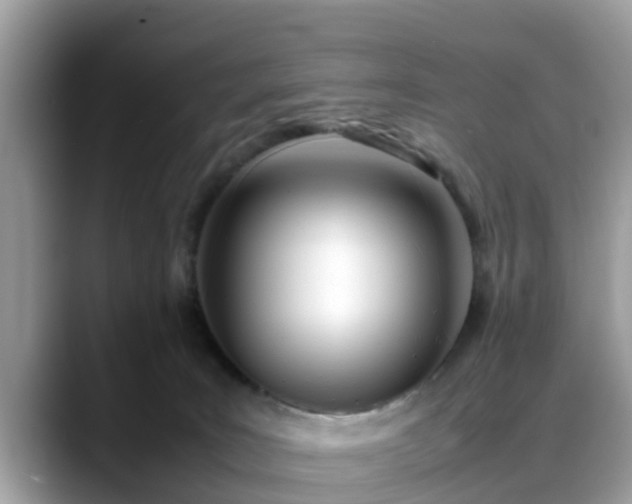 X0000088680035200706071435
