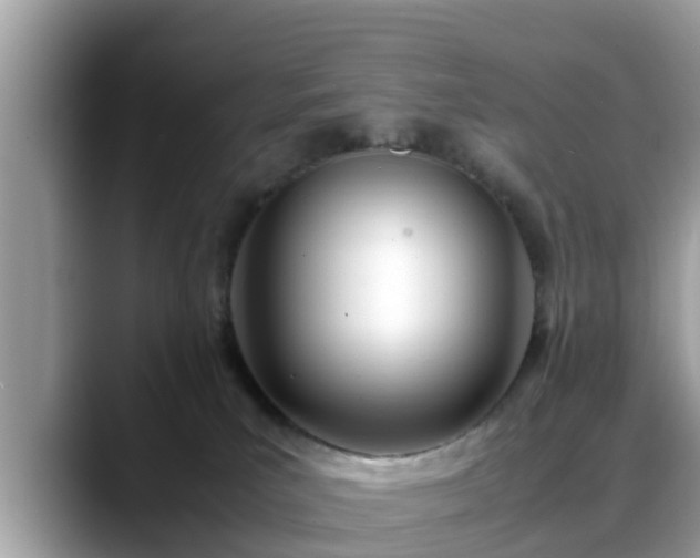 X0000088680039200706071435