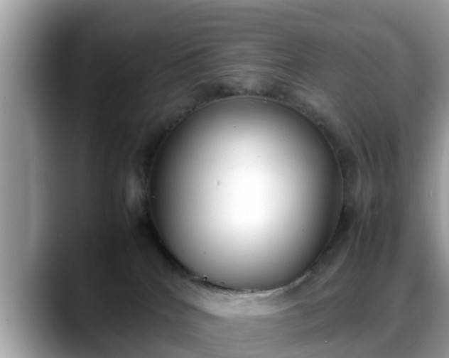 X0000088680040200706071435