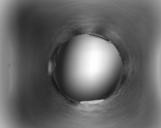 X0000088680041200706071435