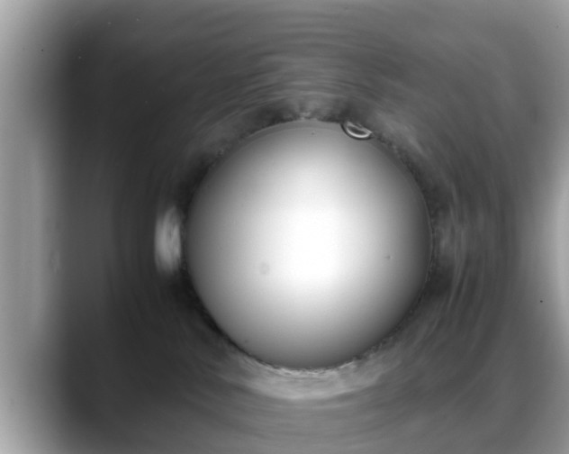 X0000088680042200706071435