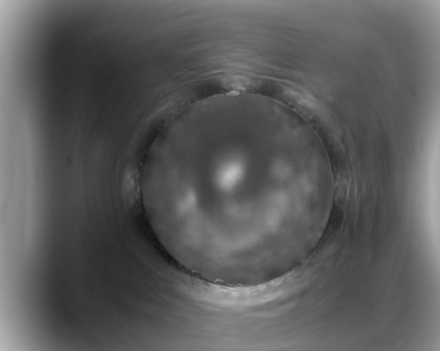 X0000088680043200706071435