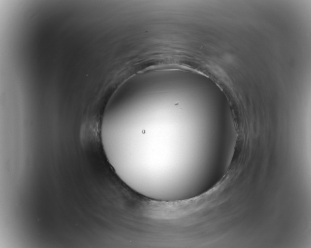 X0000088680045200706071435