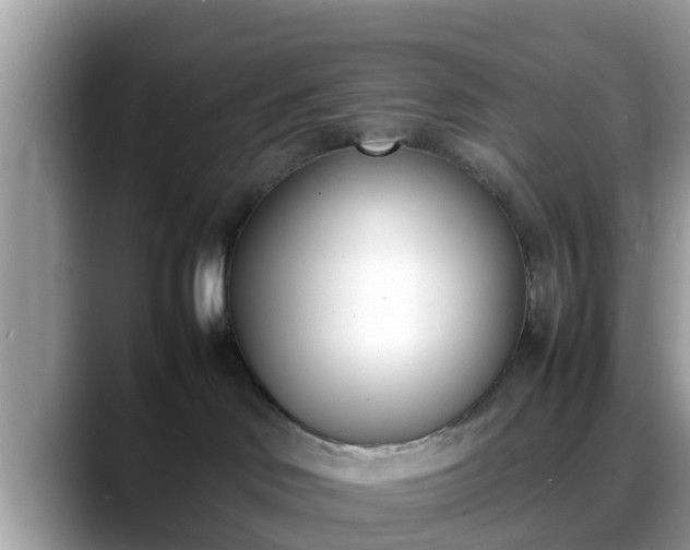 X0000088680046200706071435