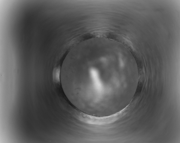 X0000088680047200706071435