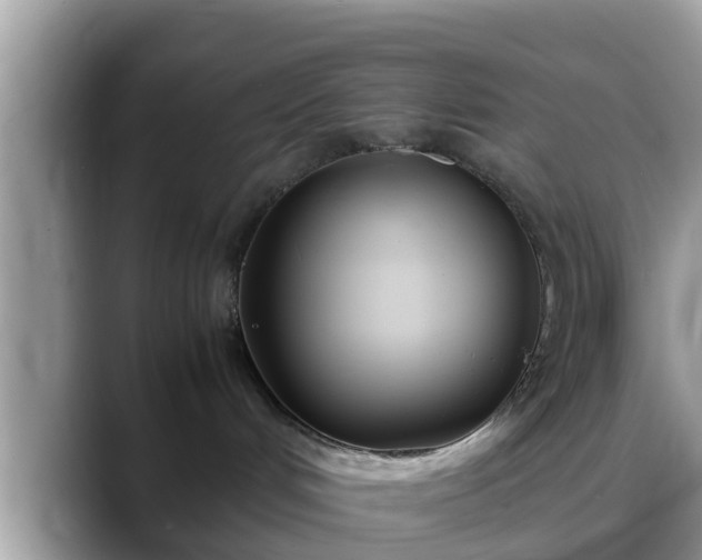 X0000088680048200706071435