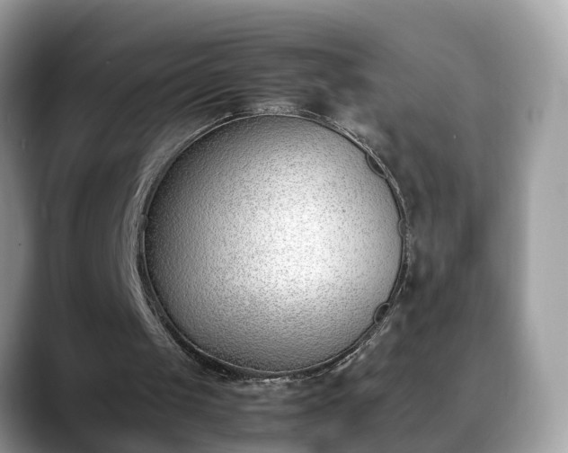 X0000088680049200706071434