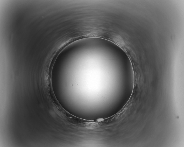 X0000088680050200706071434