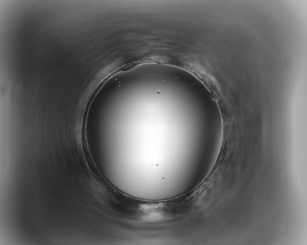 X0000088680051200706071434