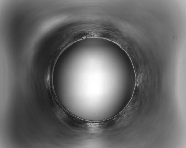 X0000088680052200706071434