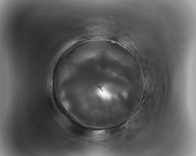 X0000088680054200706071434