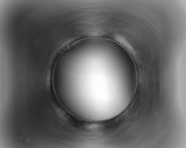 X0000088680058200706071434