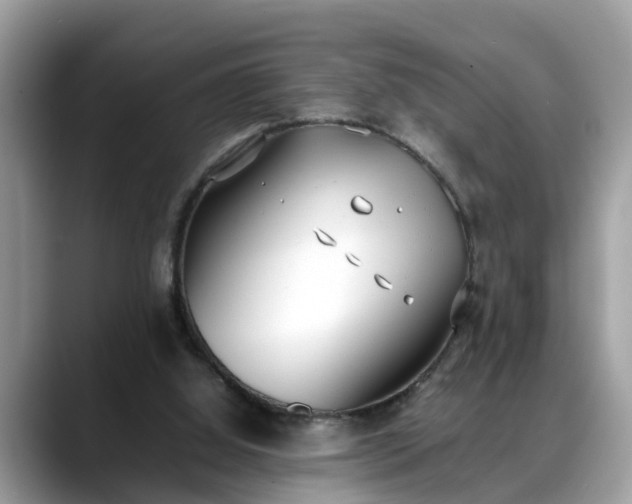 X0000088680060200706071434