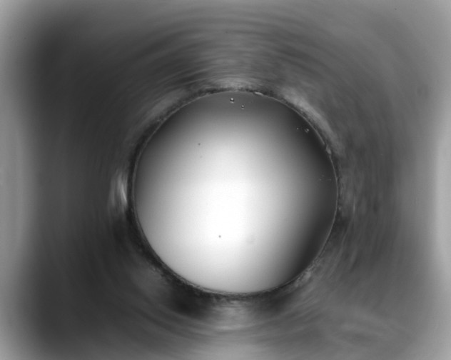 X0000088680062200706071434