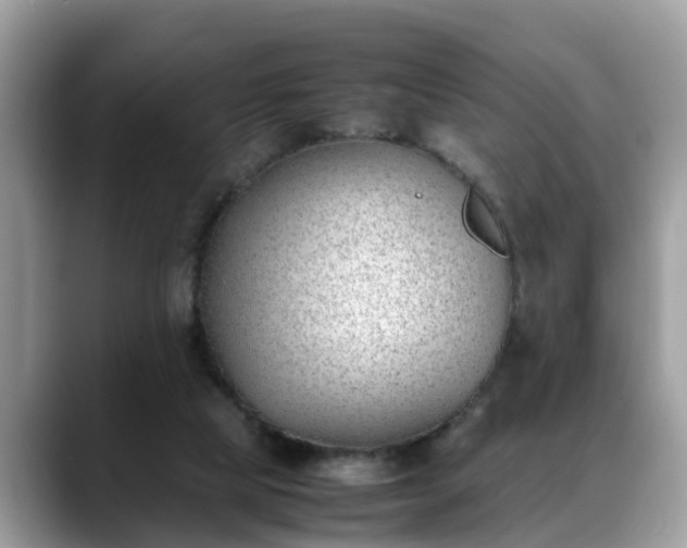 X0000088680065200706071434