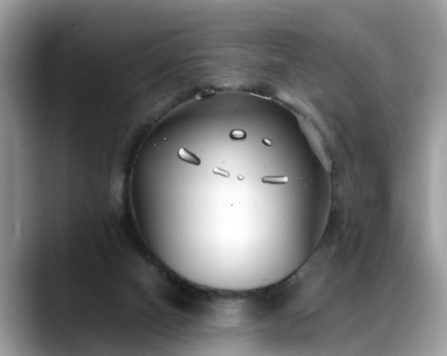 X0000088680066200706071434