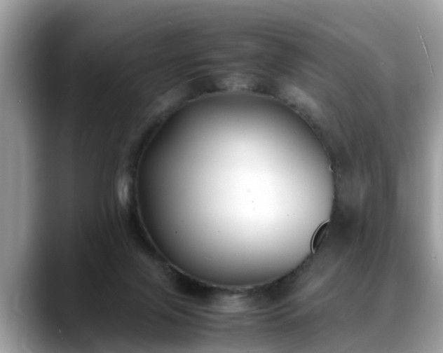 X0000088680071200706071434