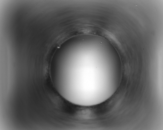 X0000088680073200706071434