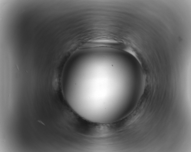 X0000088680080200706071435