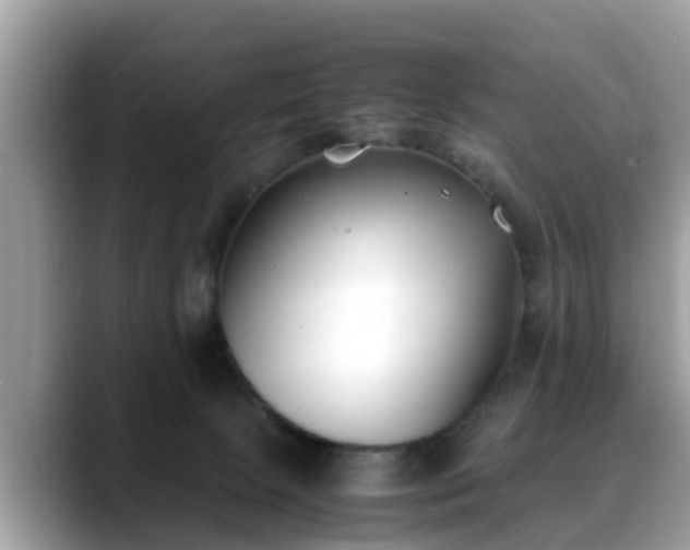 X0000088680081200706071435