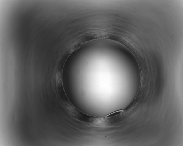 X0000088680096200706071435