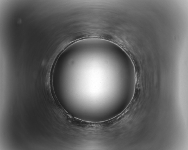 X0000088680099200706071434