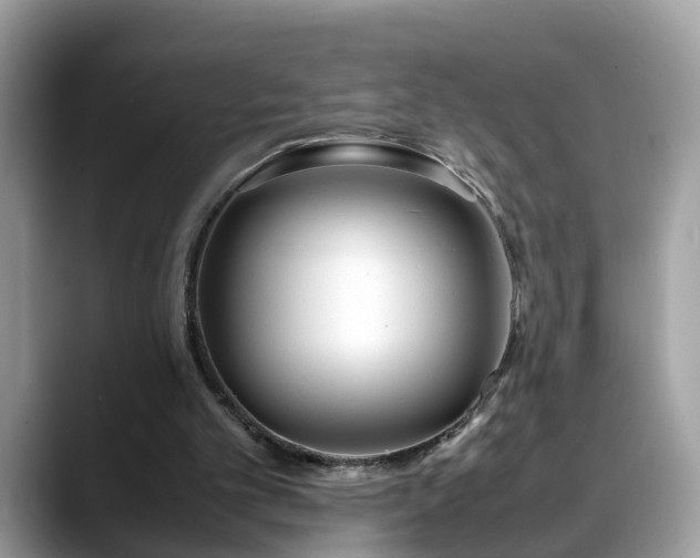 X0000088680101200706071434