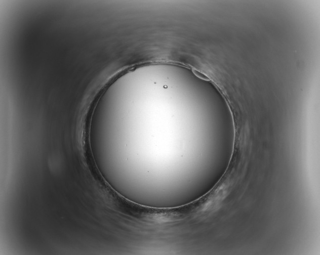 X0000088680103200706071434