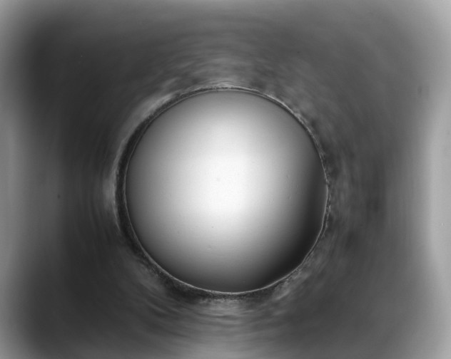 X0000088680104200706071434