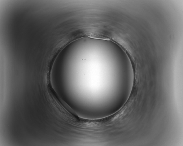 X0000088680105200706071434