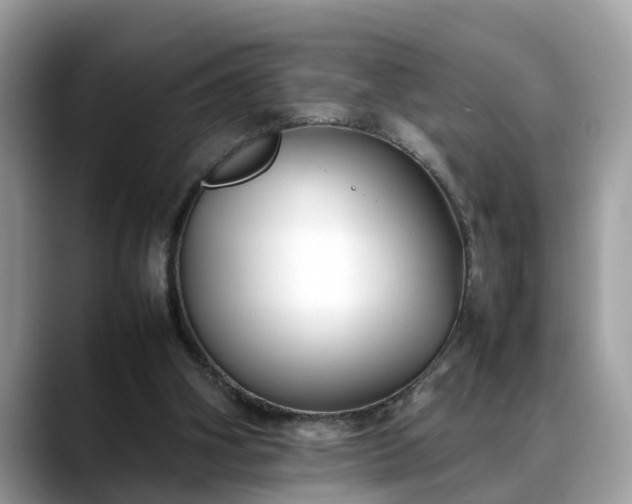 X0000088680106200706071434