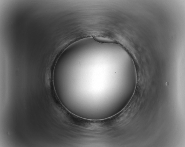 X0000088680107200706071434