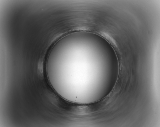 X0000088680108200706071434
