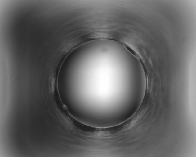 X0000088680109200706071434