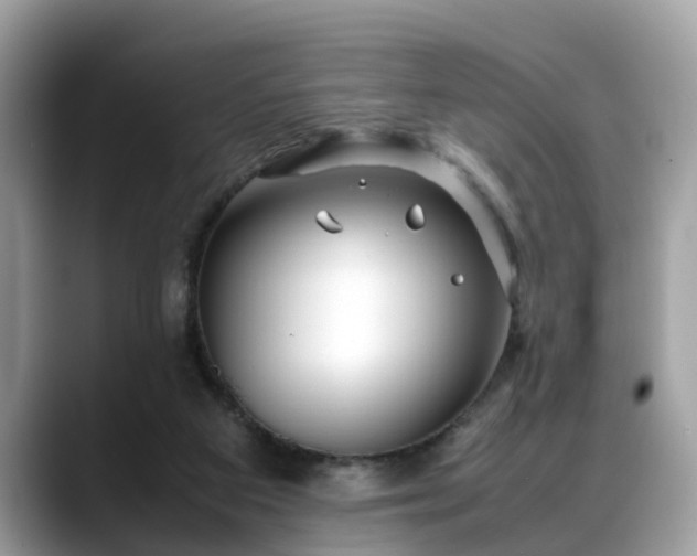 X0000088680113200706071434