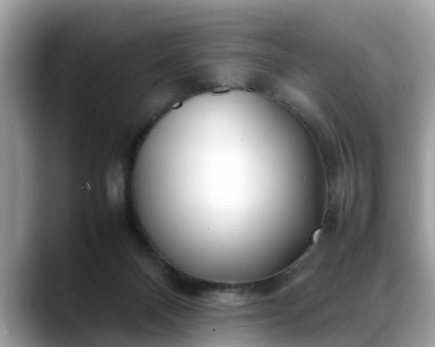 X0000088680120200706071434