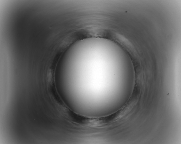 X0000088680121200706071434