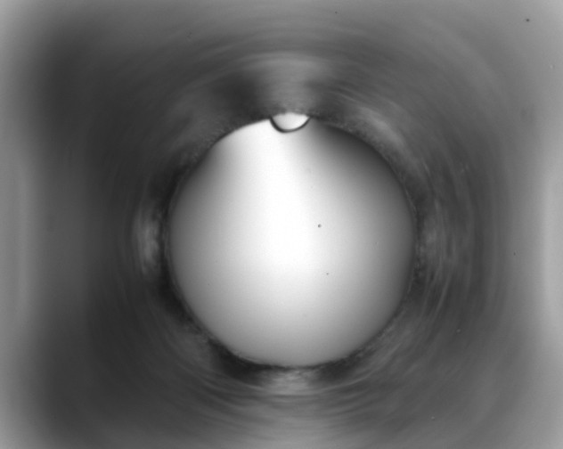 X0000088680122200706071434