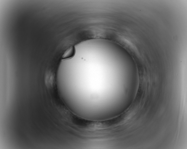 X0000088680123200706071434