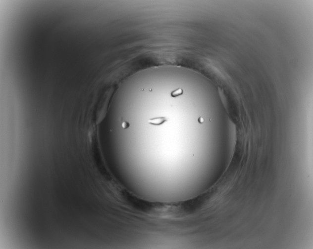 X0000088680125200706071434
