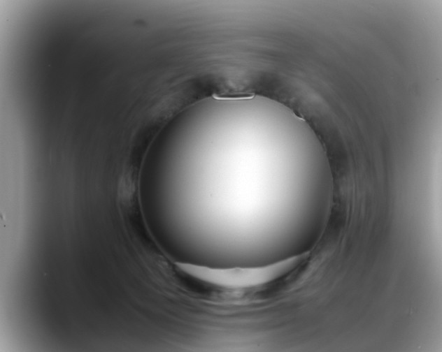X0000088680129200706071434