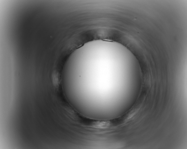 X0000088680135200706071434