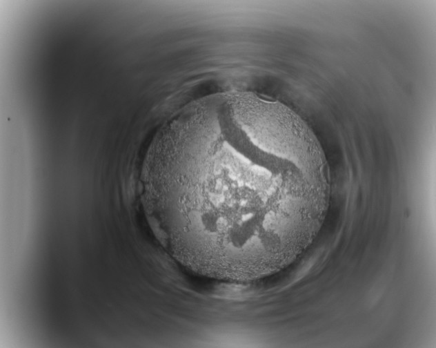 X0000088680139200706071434