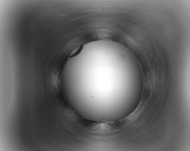 X0000088680140200706071434