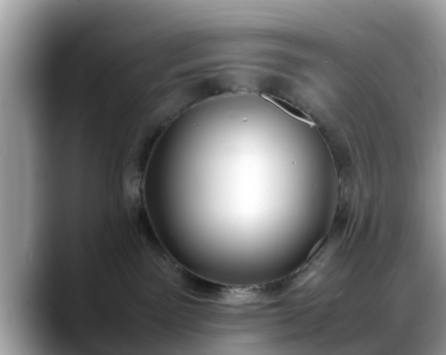 X0000088680141200706071434