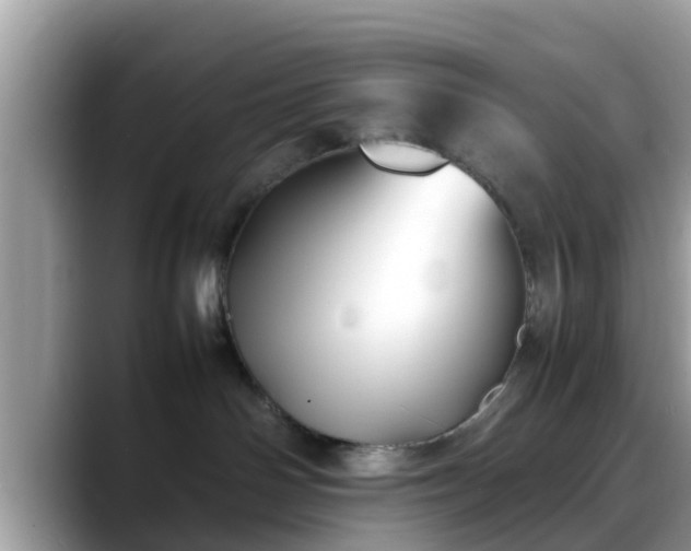 X0000088680142200706071434