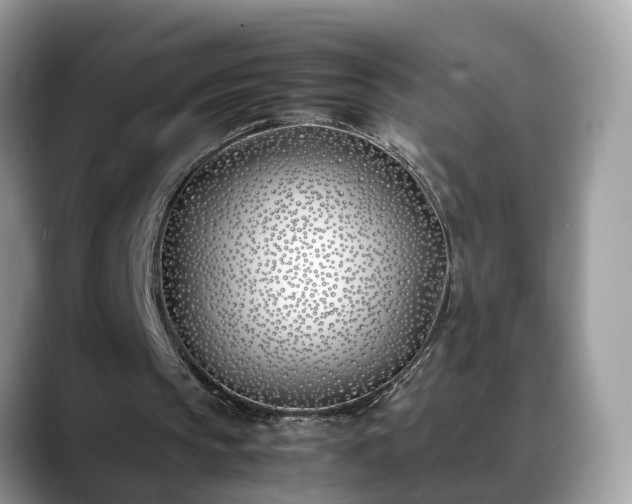 X0000088680145200706071433