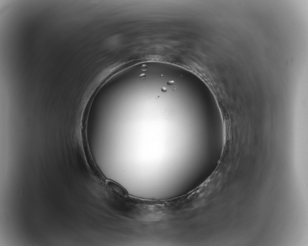 X0000088680147200706071433